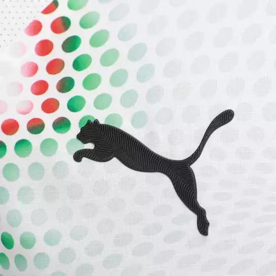 Camisa Seleção Portugal Edição Especial 23/24 - Torcedor Nike Masculina - Branca com detalhes em vermelho e verde