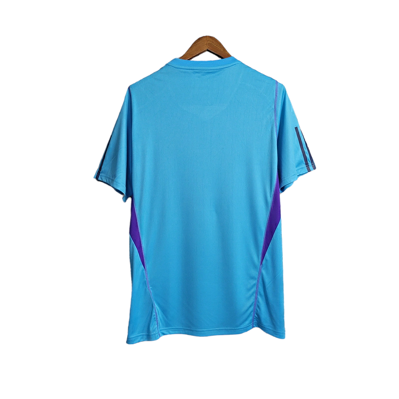 Argentina National Team Training Shirt 23/24 - Adidas Men's Fan Shirt - Blue with white and purple details